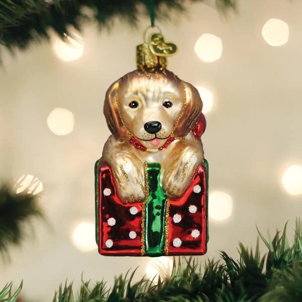 Golden Puppy Surprise Glass Ornament  Old World Christmas   