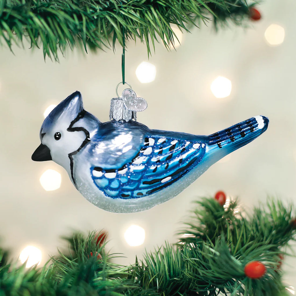 Bright Blue Jay Ornament  Old World Christmas   