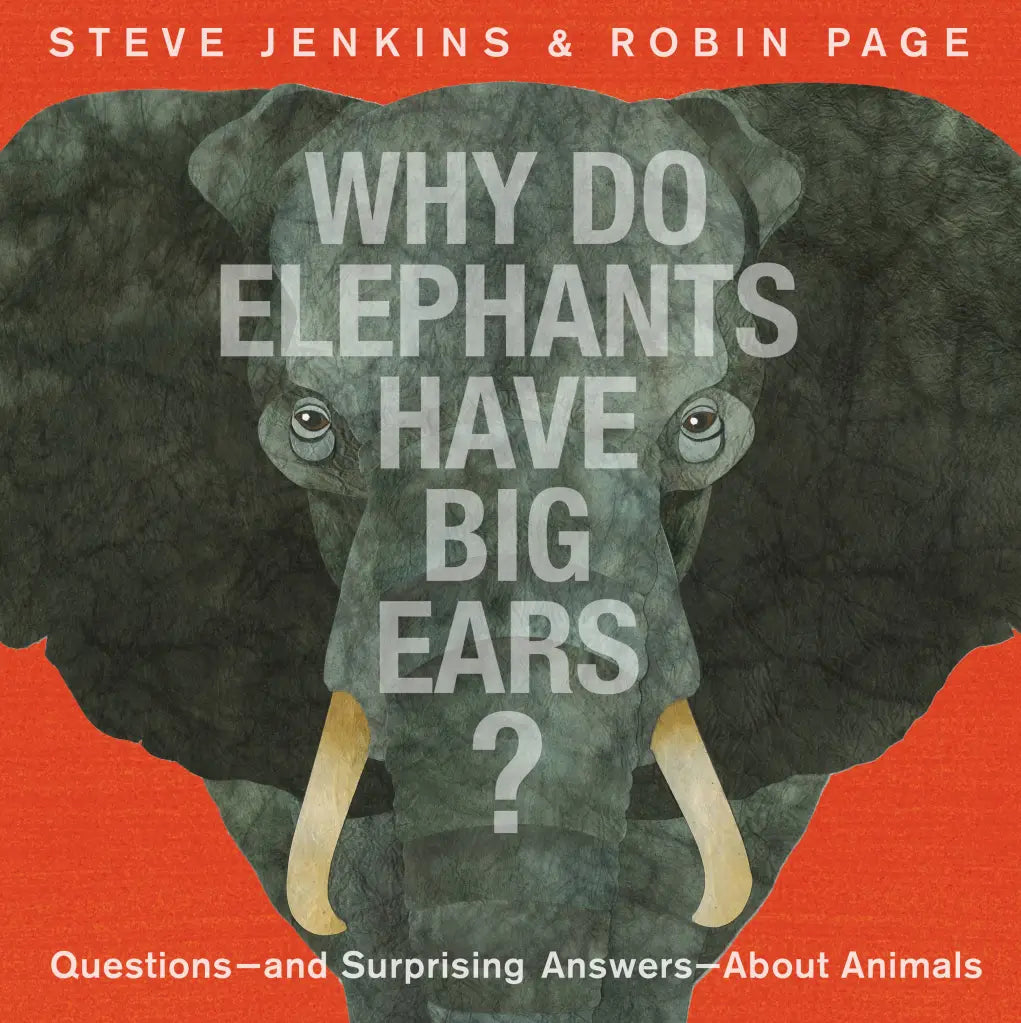 Why Do Elephants Have Big Ears?  Hachette   