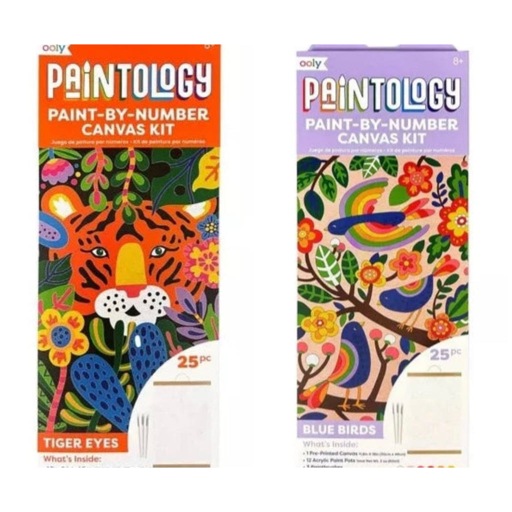 Paintology Paint-by-Number Canvas Kit  Ooly   