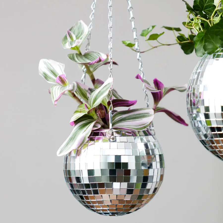 Disco Ball Hanging Planter  Bubblegum Stuff   