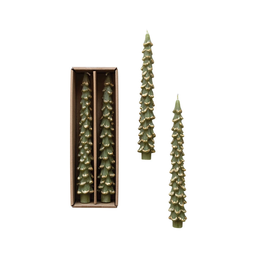 Tree Taper Candles  Creative Co-Op Evergreen  