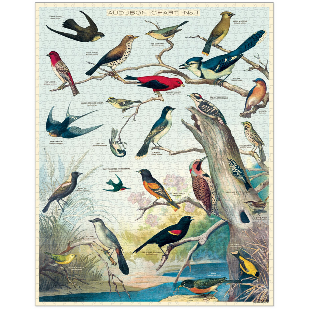 Audubon Birds Puzzle  Cavallini Papers   