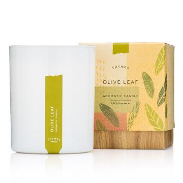 Olive Leaf Collection  Thymes Candle  