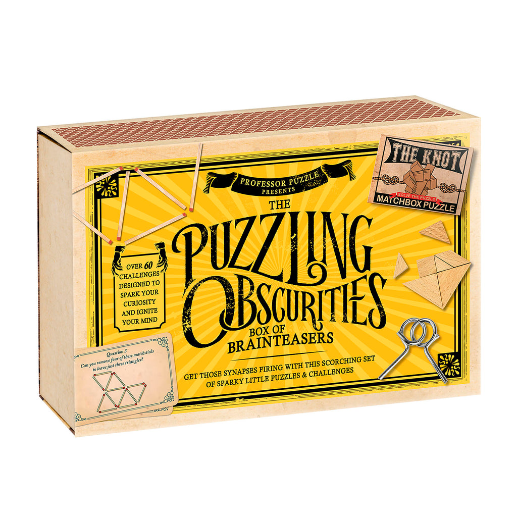 The Puzzling Obscurities Box of Brainteasers  Professor Puzzle   