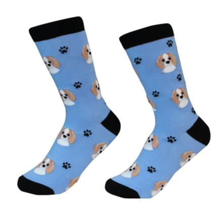 Dog Breed Socks  E & S Imports Cavalier, King  