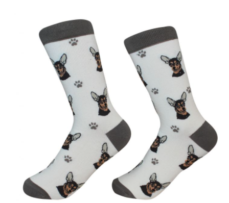 Dog Breed Socks  E & S Imports Chihuahua, Black  