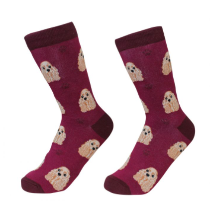 Dog Breed Socks  E & S Imports Cocker Spaniel  