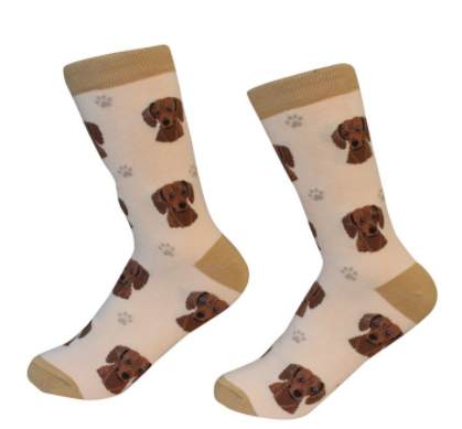 Dog Breed Socks  E & S Imports Dachshund, Red  