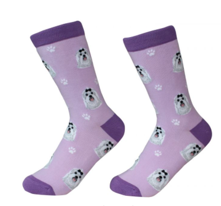 Dog Breed Socks  E & S Imports Maltese  