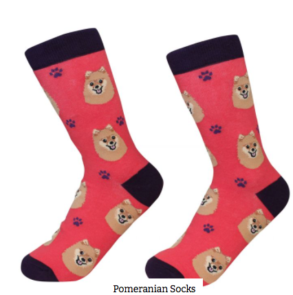 Dog Breed Socks  E & S Imports Pomeranian  