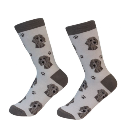 Dog Breed Socks  E & S Imports Weimaraner  