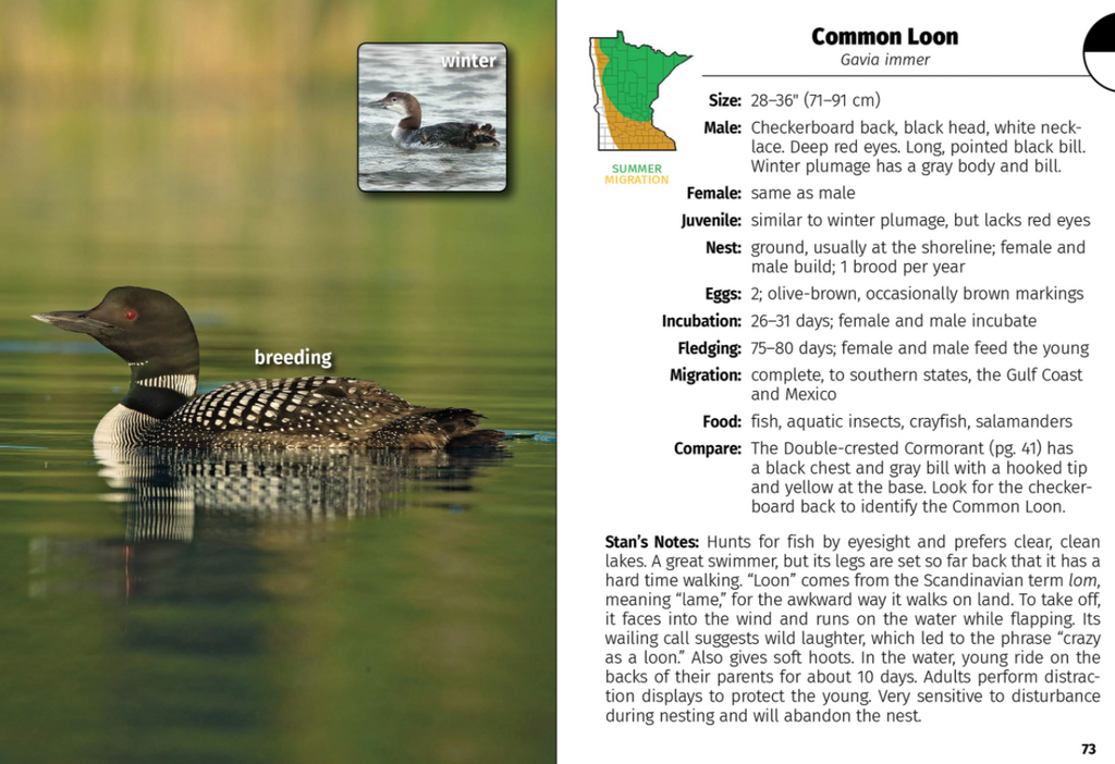 Birds of Minnesota Field Guide  Adventure Publishing   