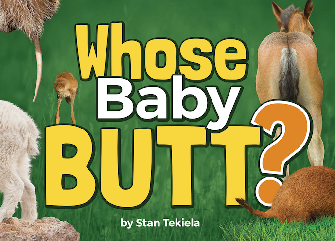 Whose Baby Butt?  Adventure Publishing   