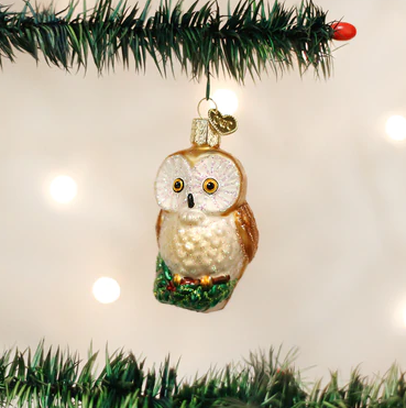 Christmas Owl Glass Ornament  Old World Christmas   