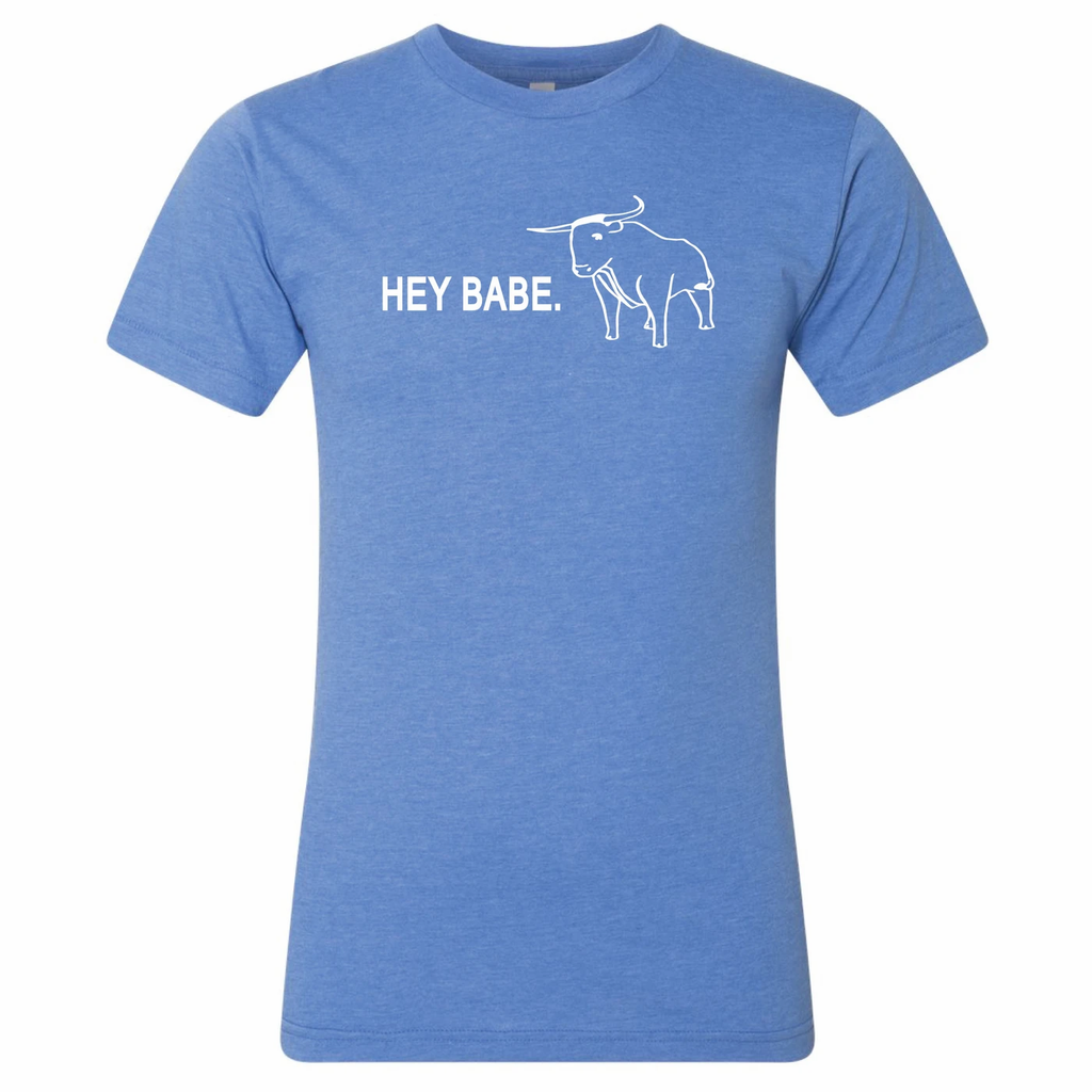 Hey Babe Minnesota T-Shirt  Minnesota Awesome   