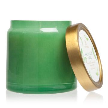 Fresh Cut Basil Collection  Thymes Statement Candle  