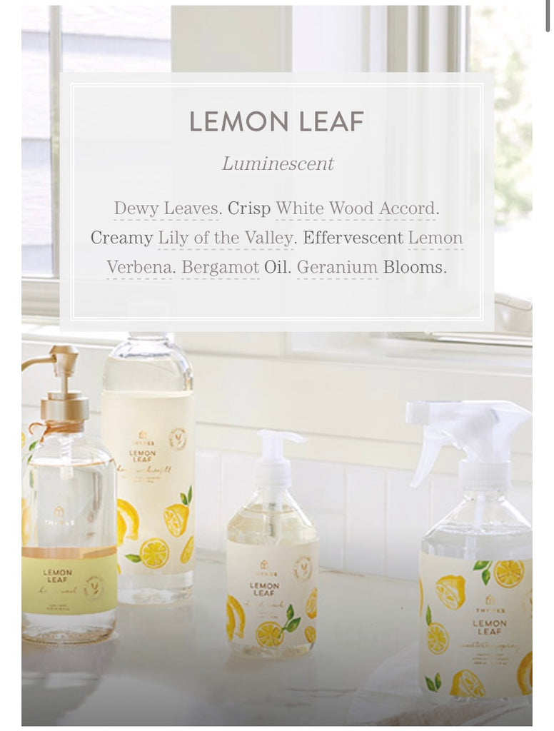 Lemon Leaf Collection  Thymes   