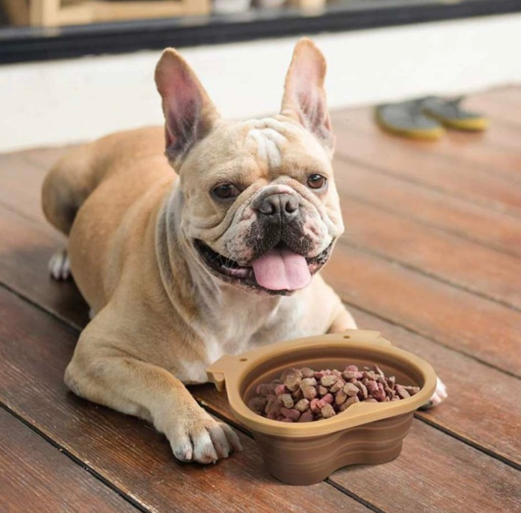 Howligans Collapsible Dog Bowl  Fred and Friends   