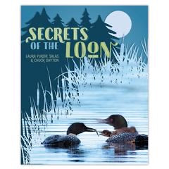 Secrets of the Loon  Ingram   