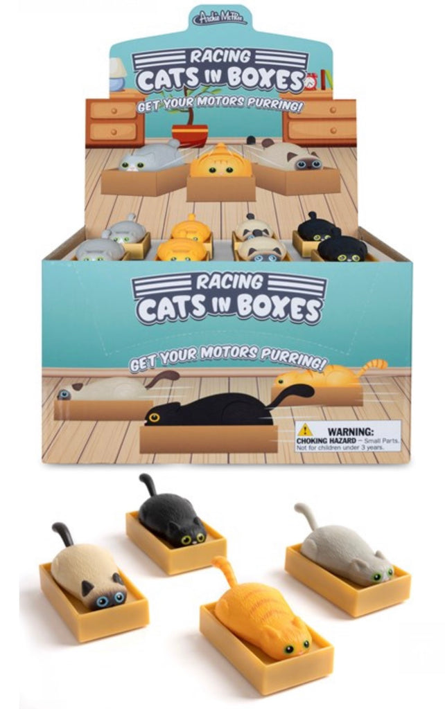 Racing Cat In A Box  Archie McPhee   