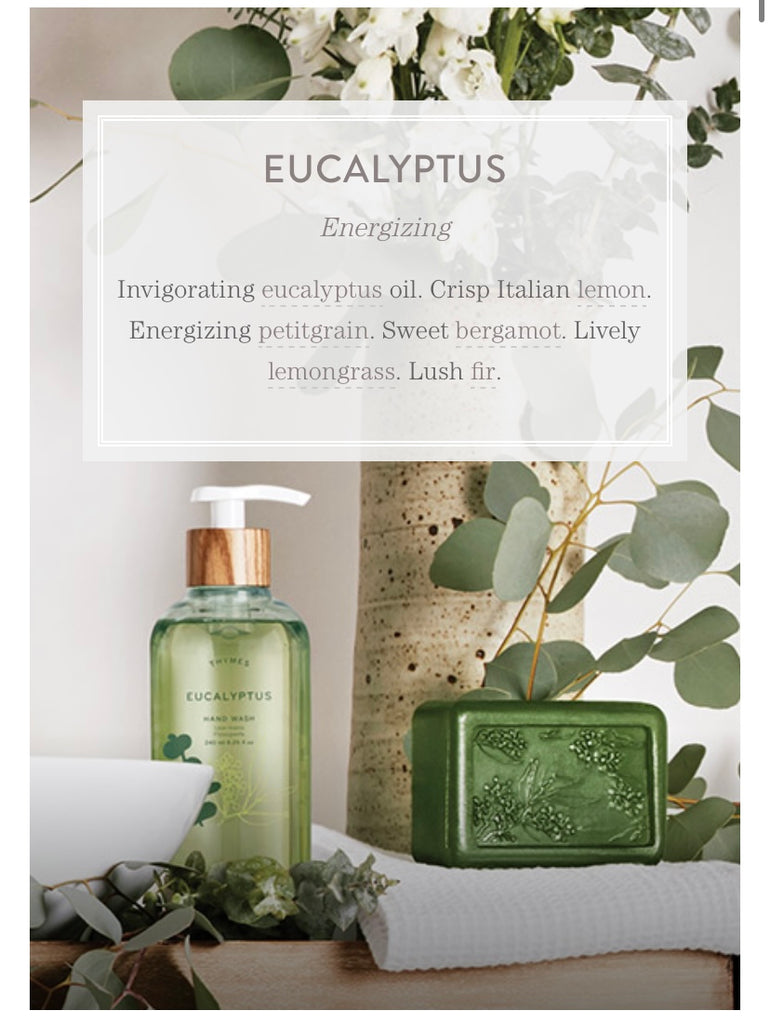 Eucalyptus Collection  Thymes   