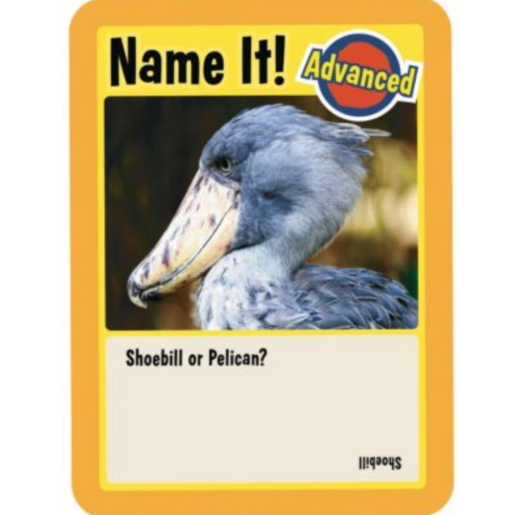 Animal Trivia Challenge Game  Mindware   