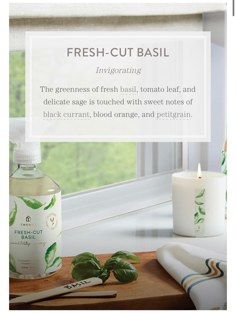 Fresh Cut Basil Collection  Thymes   