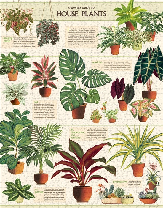 House Plants Puzzle  Cavallini Papers   