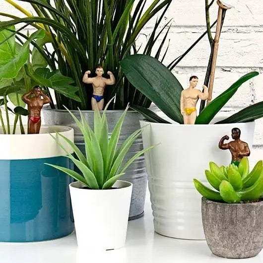 Mini Hunk Plant Markers  Gift Republic   