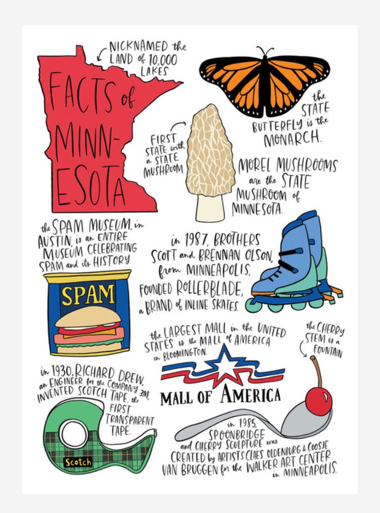 State Facts Boxed Cards: Minnesota  Allport Editions   